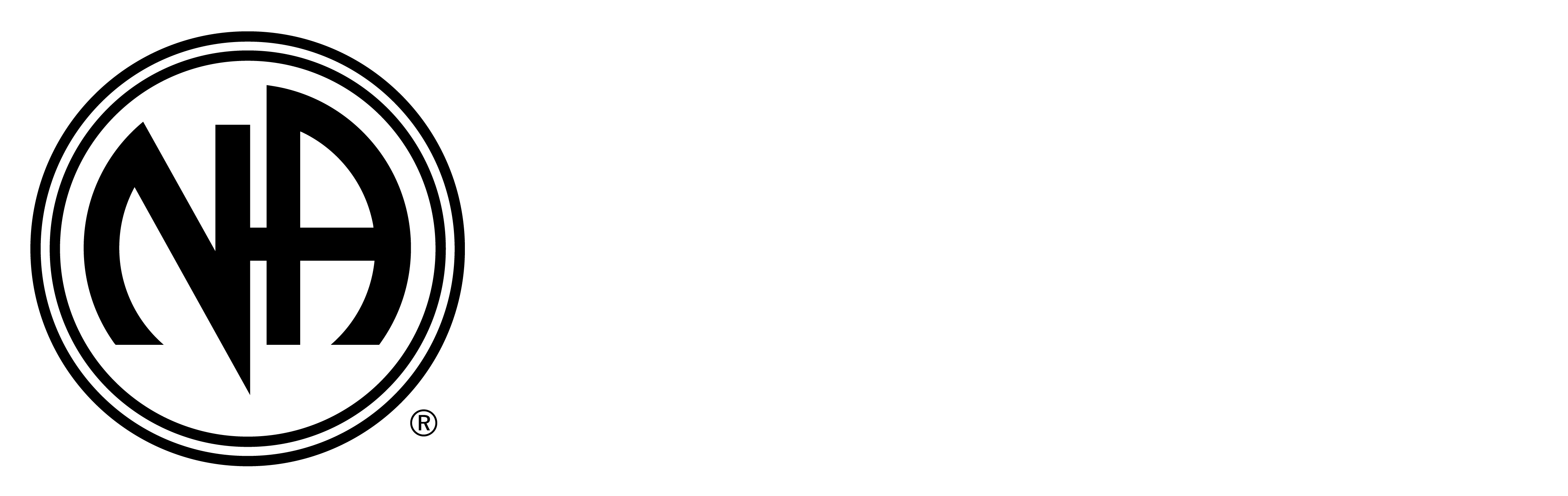 Narcotics Anonymous Berlin